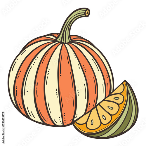 carnival squash on white background 