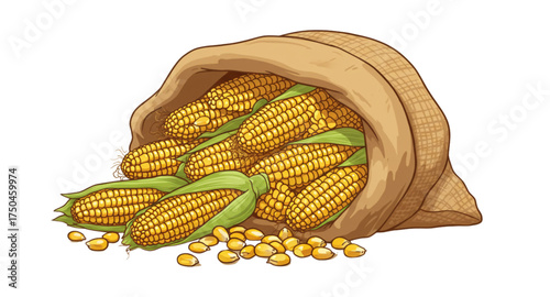 Corn in a sack 