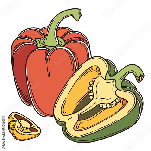 capsicum on white background 