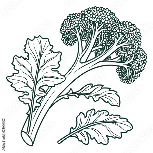 broccoli rabe