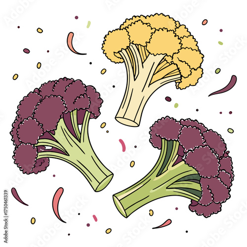 broccoli on white background 