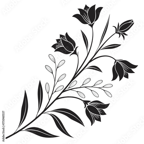 Elegant black silhouette of a bellflower branch with leaves and buds on white floral plant