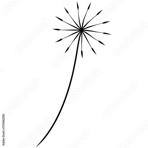 dandelion seed tattoo