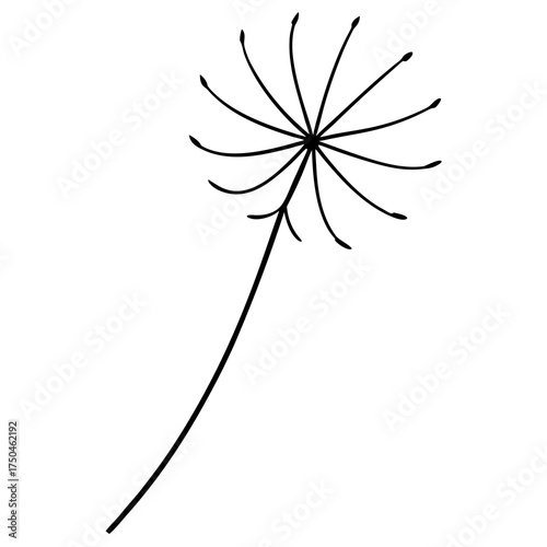 dandelion seed tattoo design