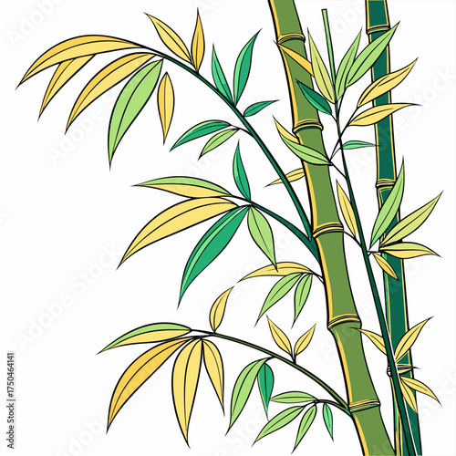 bamboo shoot on white background 