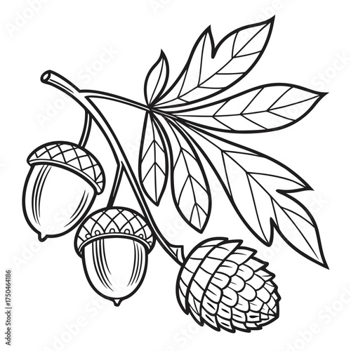 bambara groundnut with leaves