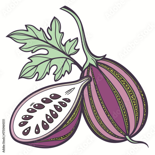 aubergine on white background 