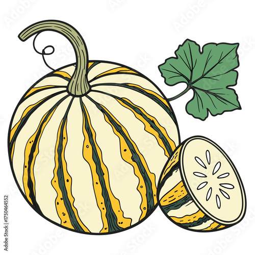 ash gourd on white background 