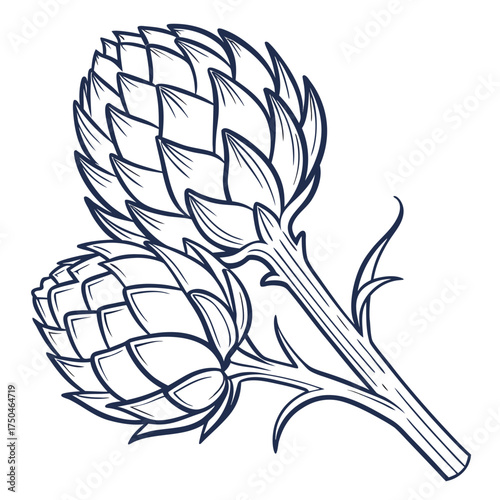artichoke vector