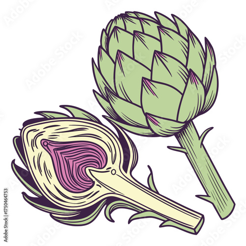 artichoke on white background 