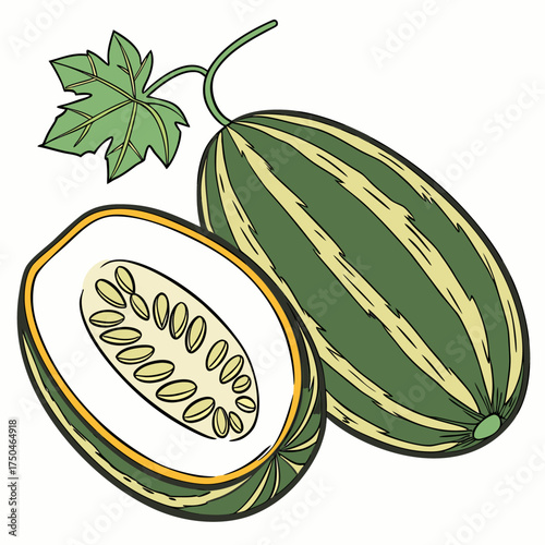 armenian cucumber on white background 