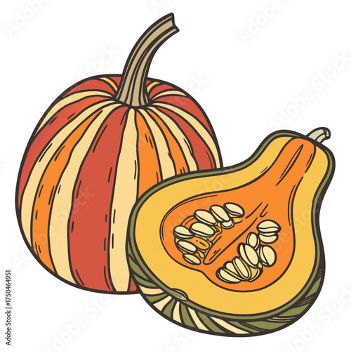 arikara squash on white background 