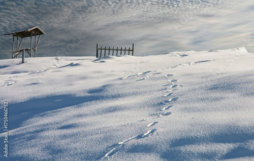 The beautiful snow-covered mountain, a perfect backdrop for winter