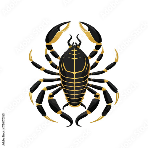 scorpion 