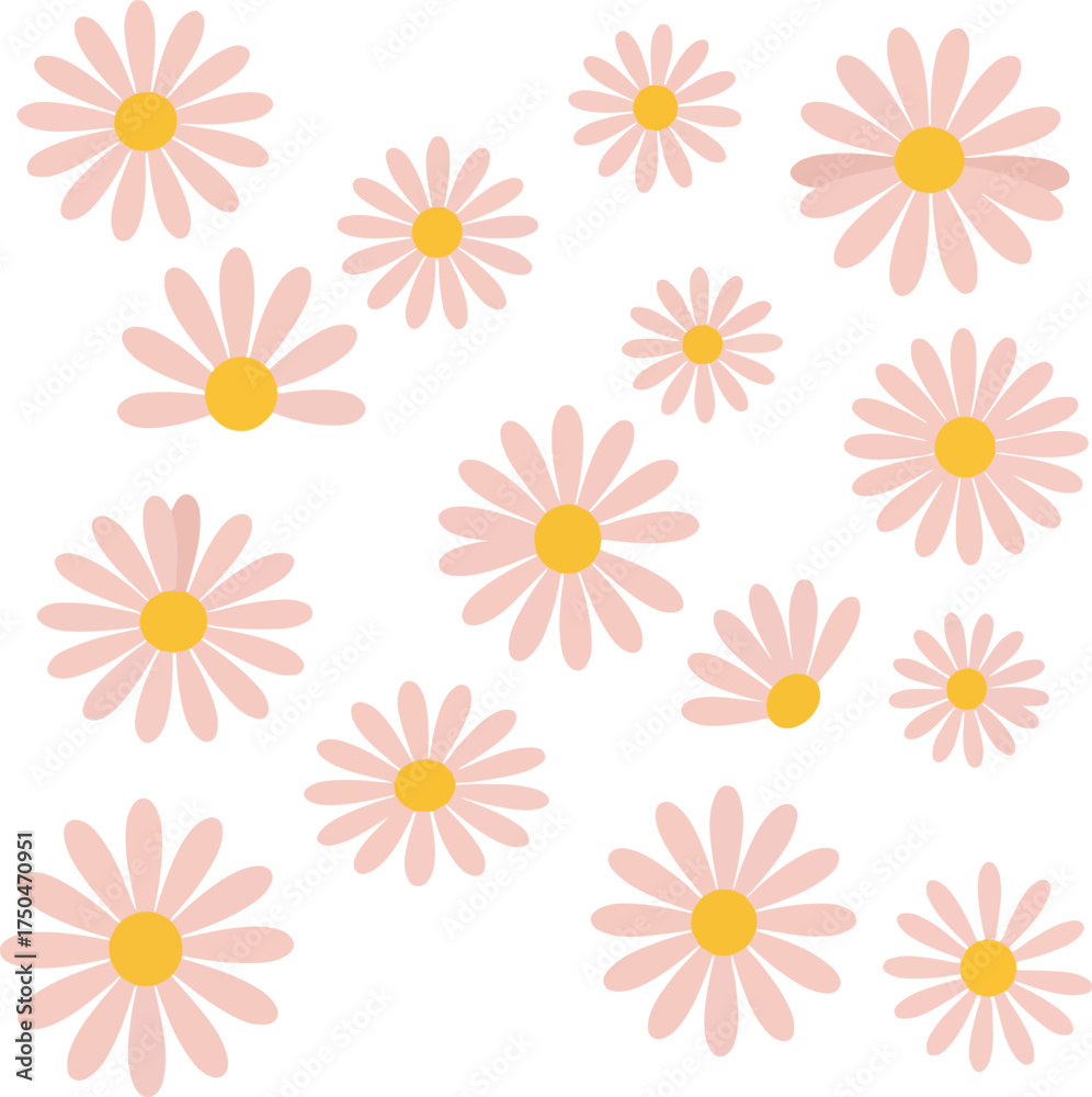Obraz premium Delicate Pink Daisy Flowers Scattered Across a White Background.