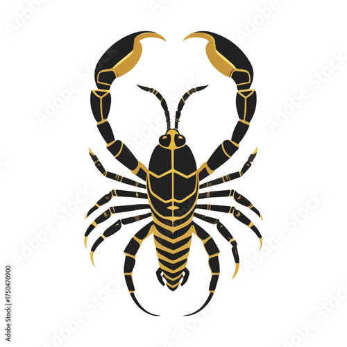 scorpion 