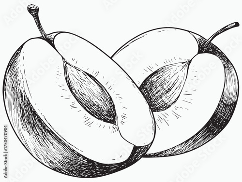 Halved Blue Plums Minimal Line Art