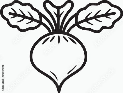 Healthy Beetroot Illustration Simple Vector Style