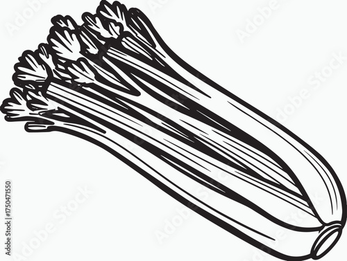 Celery Vegetable Outline Clean Line Illustration