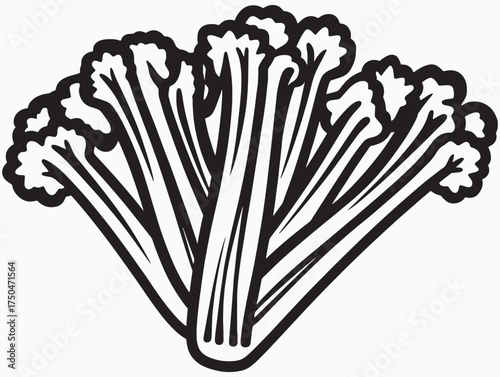 Organic Celery Icon Simple Line Drawing