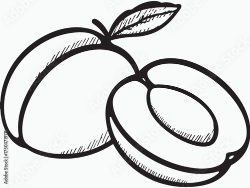 Juicy Halved Plums Clean Line Designn