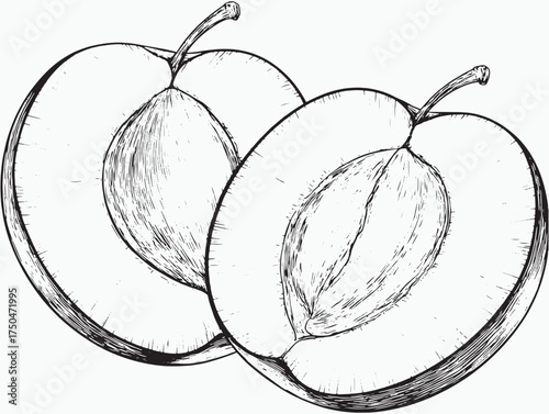 Halved Blue Plums Minimal Vector Illustration