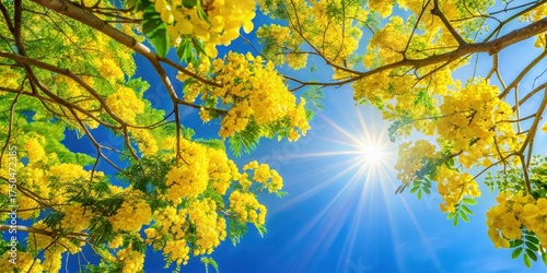 Colorful branches with vibrant yellow flowers and lush green leaves against a bright blue sky