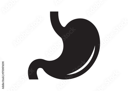 Stomach icon, Stomach solid vector