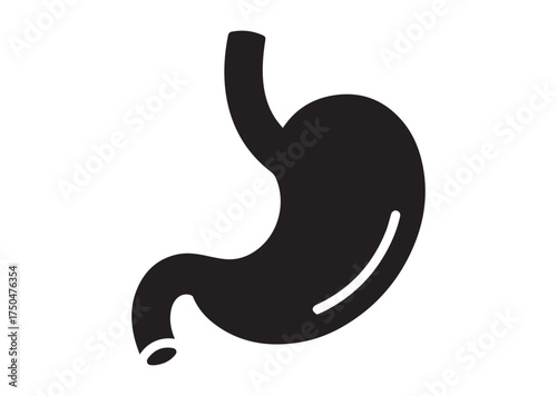 Stomach icon, Stomach solid vector