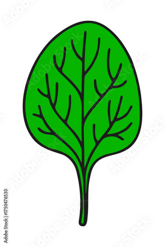 Simple cartoon illustration of a vibrant green spinach leaf with dark veins and stem on a black background