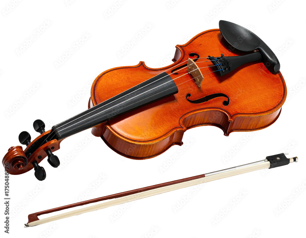 Fototapeta premium A classical stringed instrument with a bow lies on a dark background