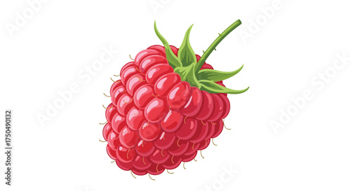 A single bright red raspberry with green leaves and stem.