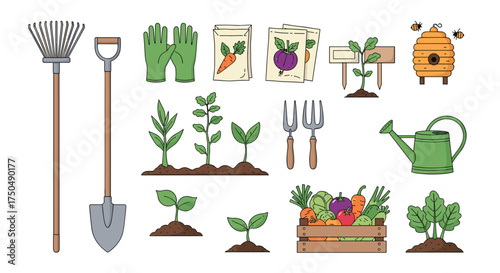 Tools and plants for a flourishing home garden project.