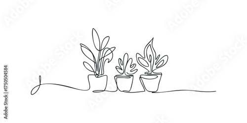 Continuous line drawing of three potted houseplants