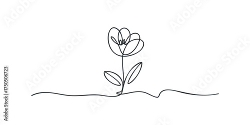 Single line drawing of a delicate flower with leaves
