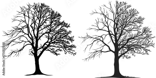 Mechanical Hand with Blooming Flower Silhouette – Organic vs Artificial Contrast Minimal Vector