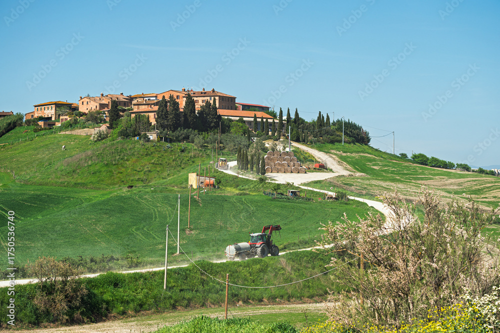 Obraz premium spring countryside landscape along the tuscany hills, Italy