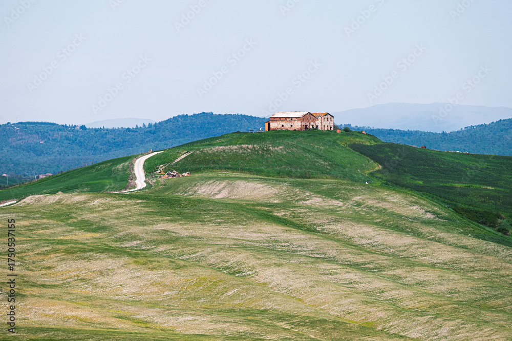 Obraz premium spring countryside landscape along the tuscany hills, Italy