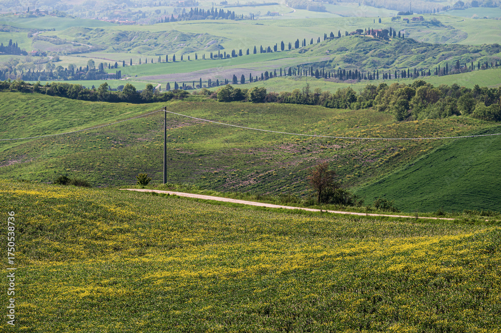 Obraz premium spring countryside landscape along the tuscany hills, Italy