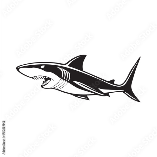 Cartoon blue shark predator vector illustration isolated on white background