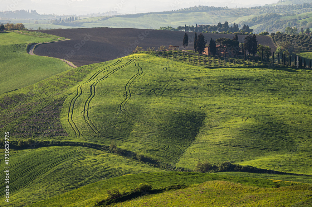 Obraz premium spring countryside landscape along the tuscany hills, Italy