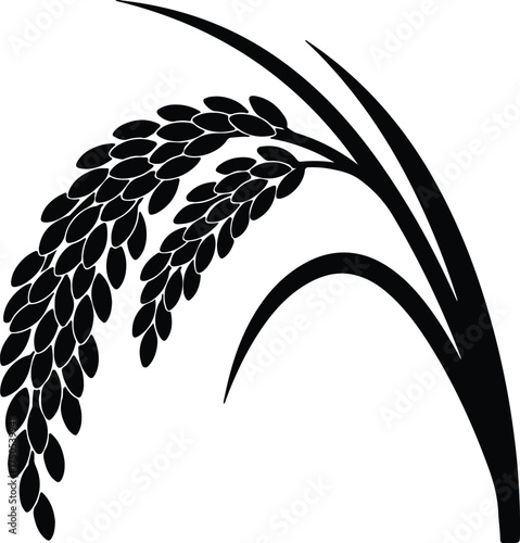 Vector silhouette rice stalk ear plant agriculture simple illustration