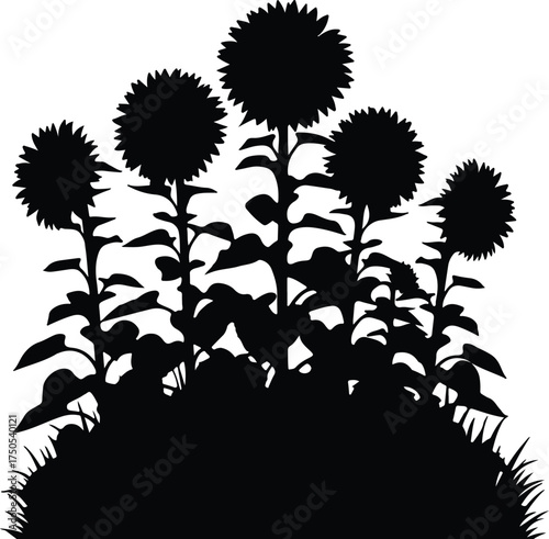 Vector silhouette sunflowers in a field landscape illustration