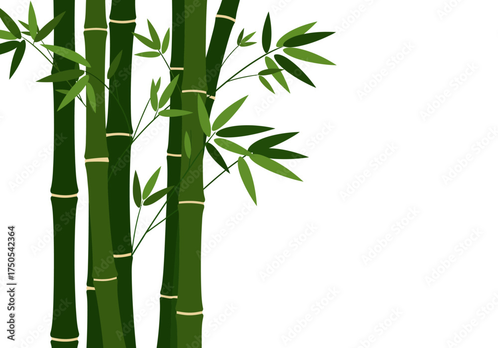 Naklejka premium Green Bamboo Stalks with Leaves Illustration