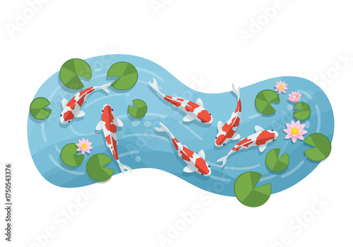 Koi Fish Swimming in a Pond with Lily Pads and Flowers.