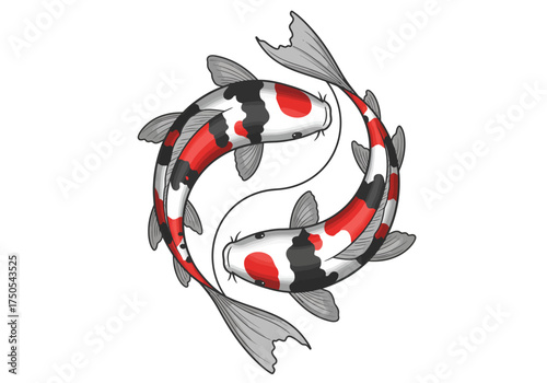 Two Koi Fish in Yin Yang Formation Red and Black Markings.