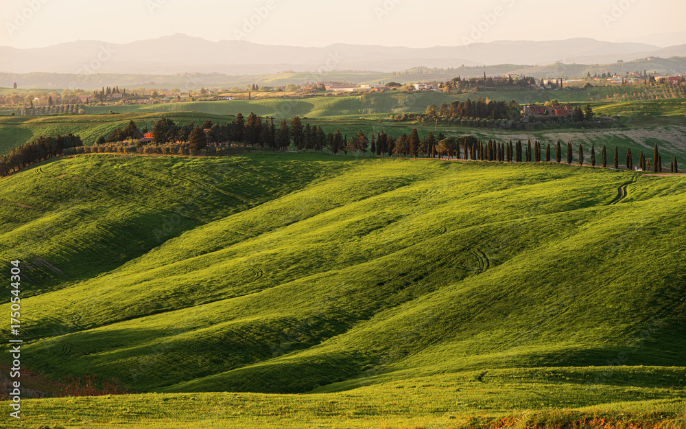 Obraz premium spring countryside landscape of a sunset over the tuscany hills , Italy