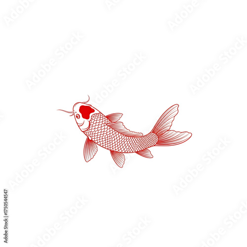 Elegant Koi Fish Illustration in Red Outline