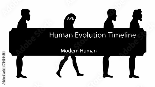Witness human evolution's journey from ape to modern man on this dynamic timeline graphic