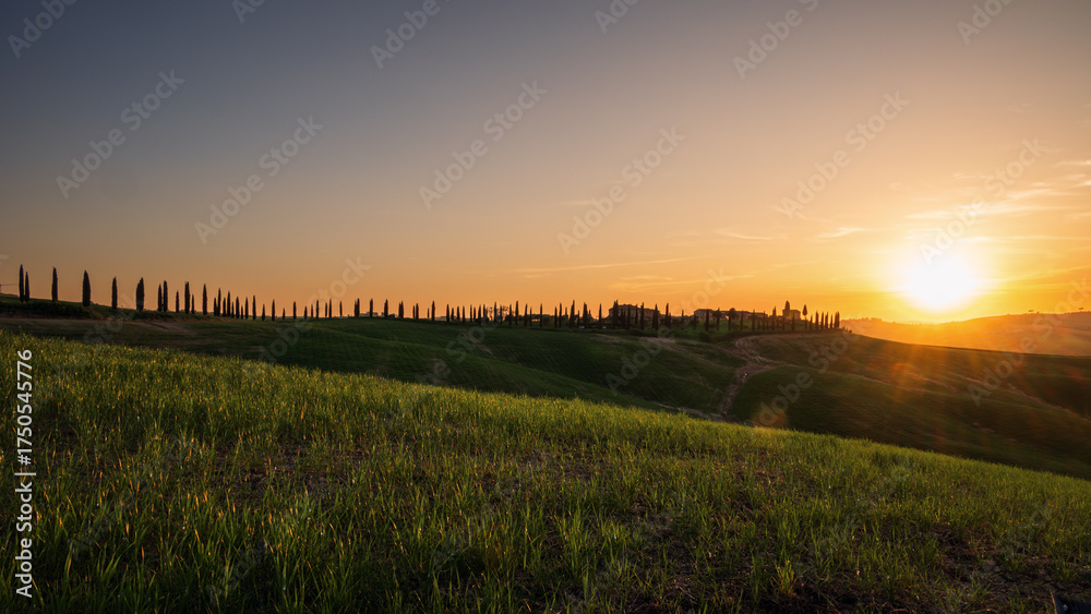Obraz premium spring countryside landscape of a sunset over the tuscany hills , Italy